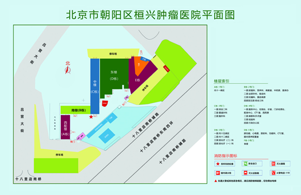 爱操逼视频大鸡巴好爽不要停北京市朝阳区桓兴肿瘤医院平面图